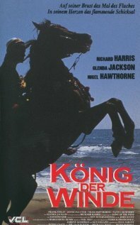 Новые приключения Тома Сойера и Геккельбери Финна (1990)