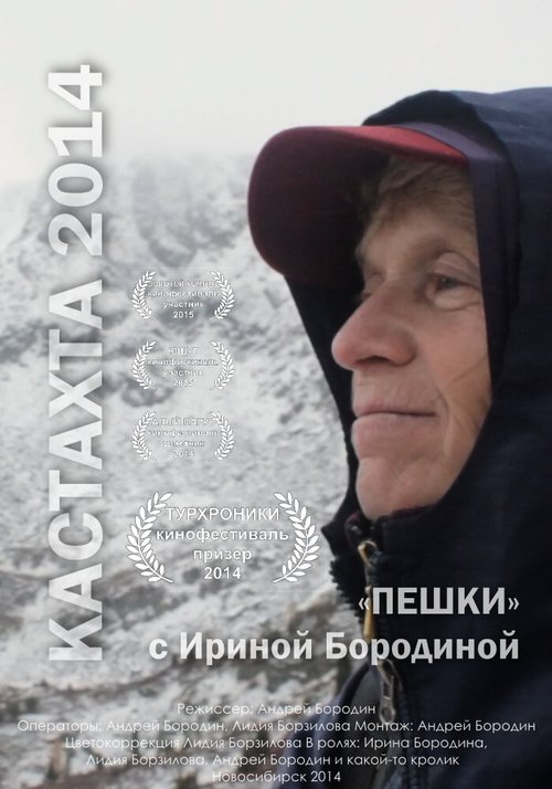 Маленькие хорьки Санты (2014)