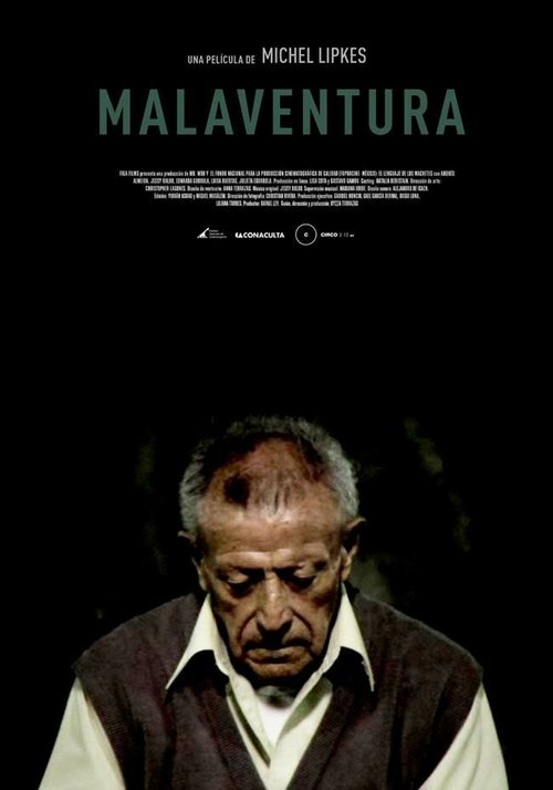 Приблизительный адрес (2011)