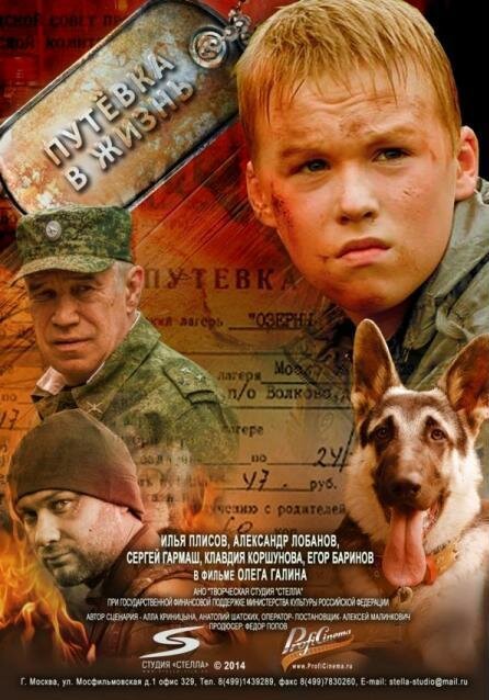 Постер фильма Путевка в жизнь (2013)