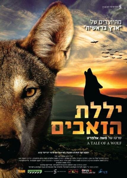 Постер фильма Рассказ о волке (2013)