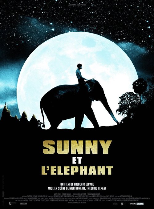 Постер фильма Санни и слон (2008)