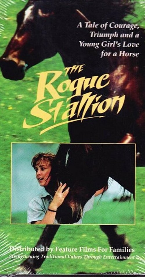 Постер фильма The Rogue Stallion (1990)