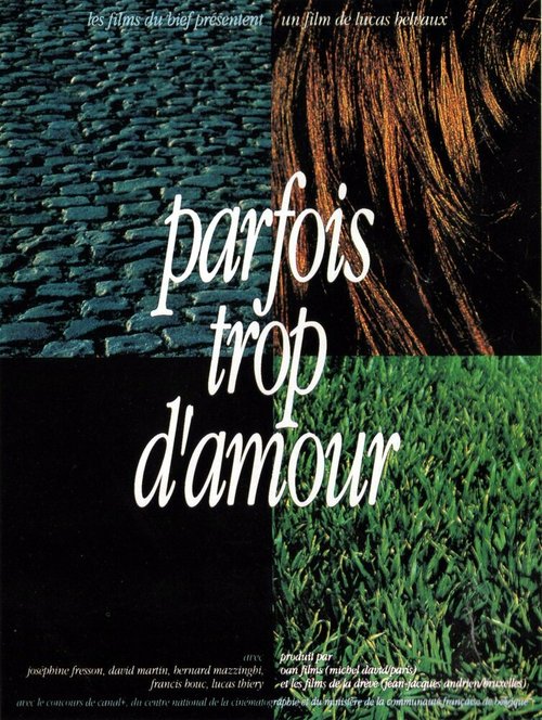 Постер фильма Parfois trop d'amour (1992)