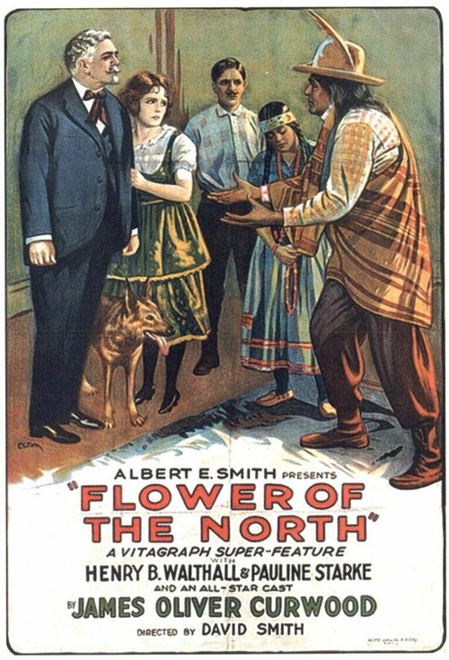 Постер фильма The Flower of the North (1921)