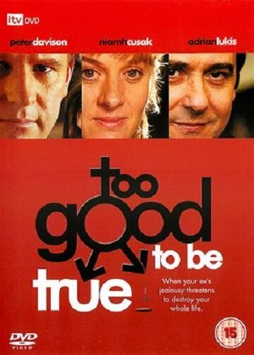 Постер фильма Too Good to Be True (2003)