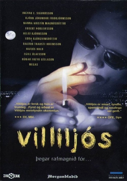 Постер фильма Villiljós (2001)