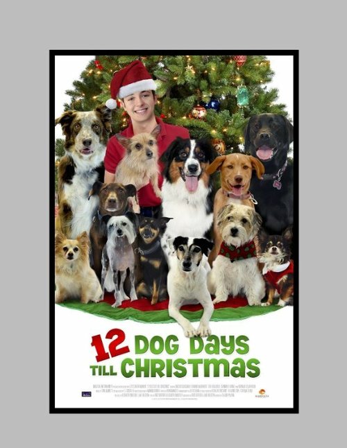 12 Dog Days of Christmas скачать торрент