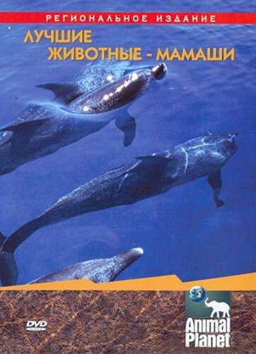 Банда из Шугар Крик: Огромная рыба-каноэ (2004)