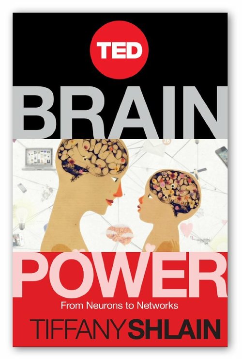 Brain Power: From Neurons to Networks скачать торрент