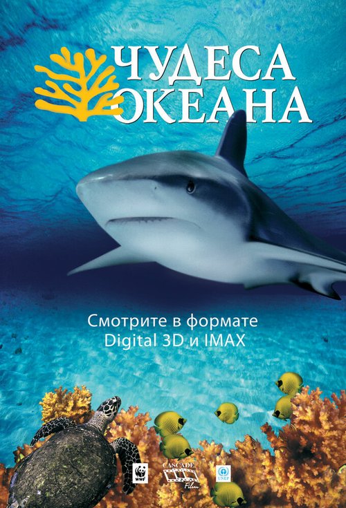 Большое путешествие вглубь океанов 3D (2009)