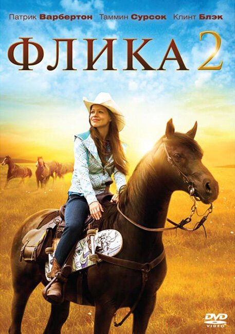 Музыка неба (2010)