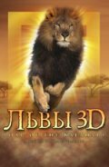 Постер фильма Львы 3D (2005)