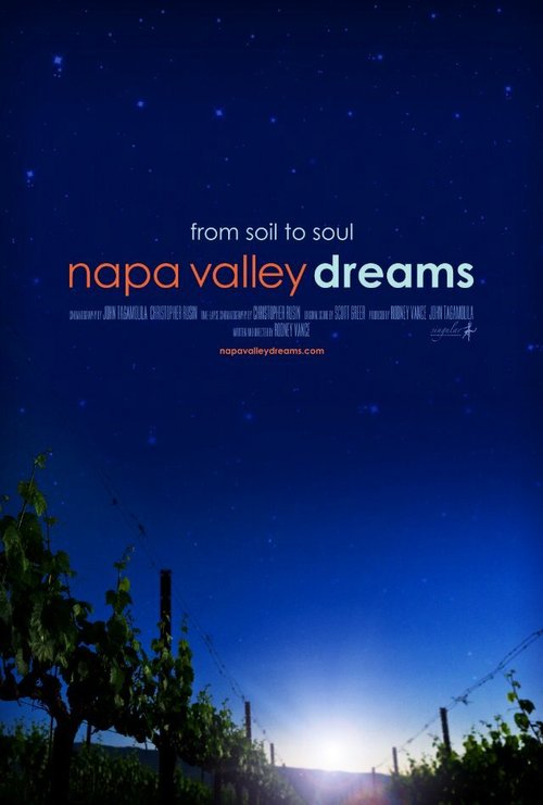 Napa Valley Dreams скачать торрент