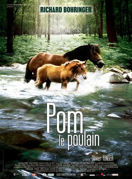 Pom, le poulain скачать торрент