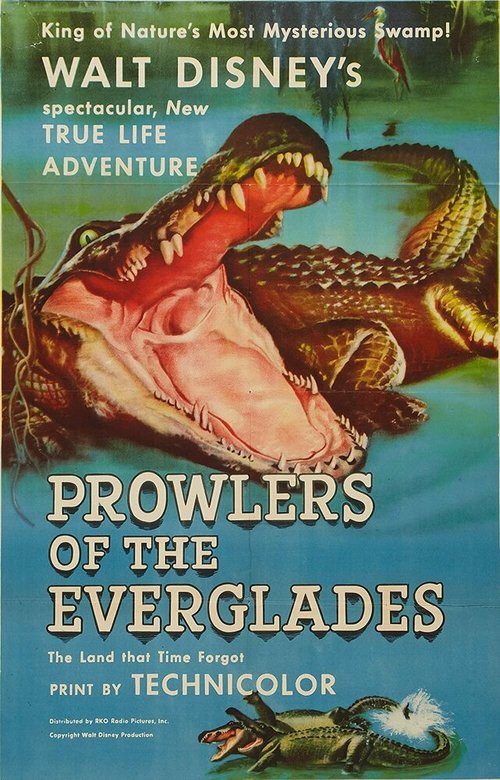 Prowlers of the Everglades скачать торрент