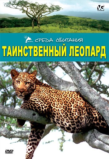 Постер фильма Таинственный леопард (2001)