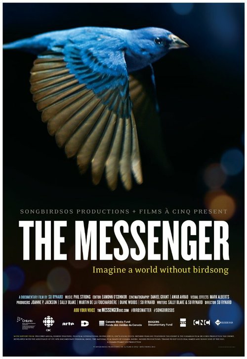 Постер фильма The Messenger (2015)