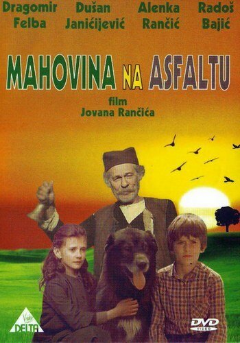 Радуга мальчика (1983)