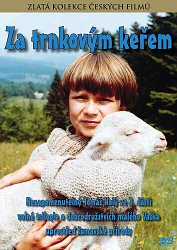 Постер фильма За кустами терновника (1982)