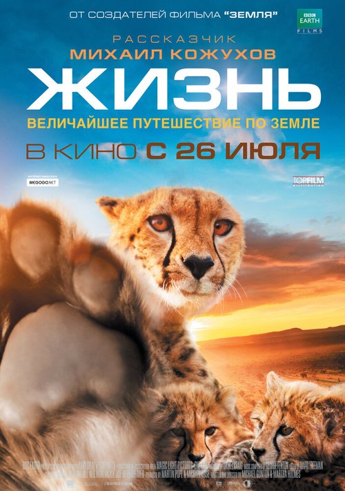 Постер фильма Жизнь (2011)