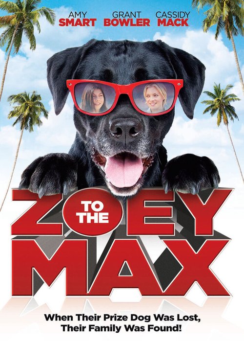 Постер фильма Zoey to the Max (2015)