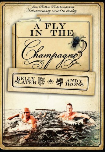 Постер фильма Муха в шампанском (2009)