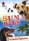 Постер фильма Sun Dogs (2006)