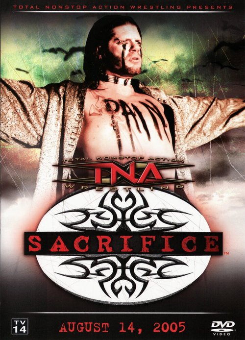 WWE Мощный американский удар (2005)