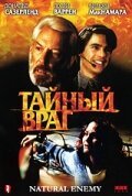 Постер фильма Тайный враг (1996)