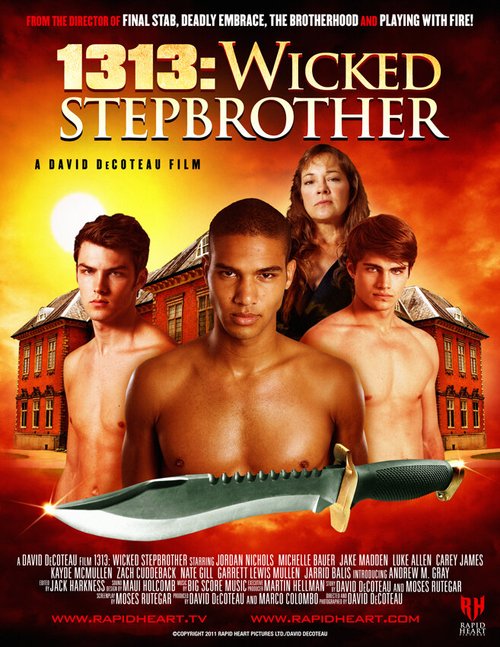Постер фильма Злой сводный брат (2011)