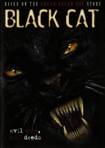 Постер фильма Черная кошка (2004)