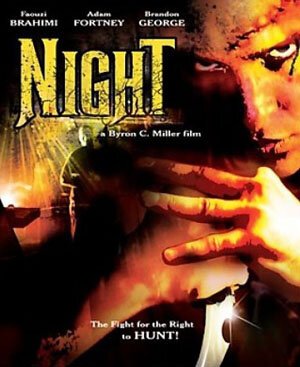 Постер фильма Ночь (2006)