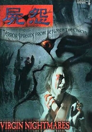 Постер фильма Ведьмы-ниндзя 10 (2004)